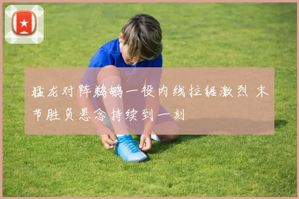 猛龙对阵鹈鹕一役内线拉锯激烈 末节胜负悬念持续到一刻