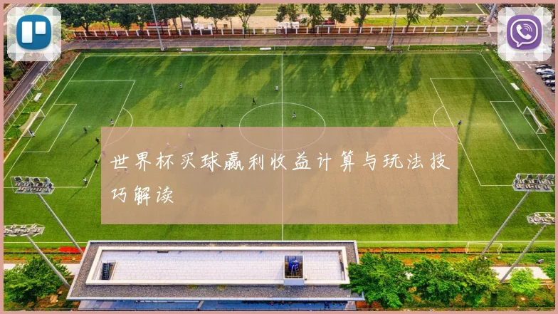 世界杯买球赢利收益计算与玩法技巧解读